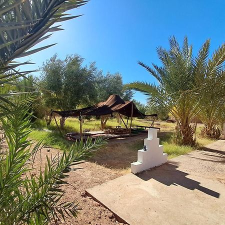 Jardin Du Desert M'Hamid Luaran gambar