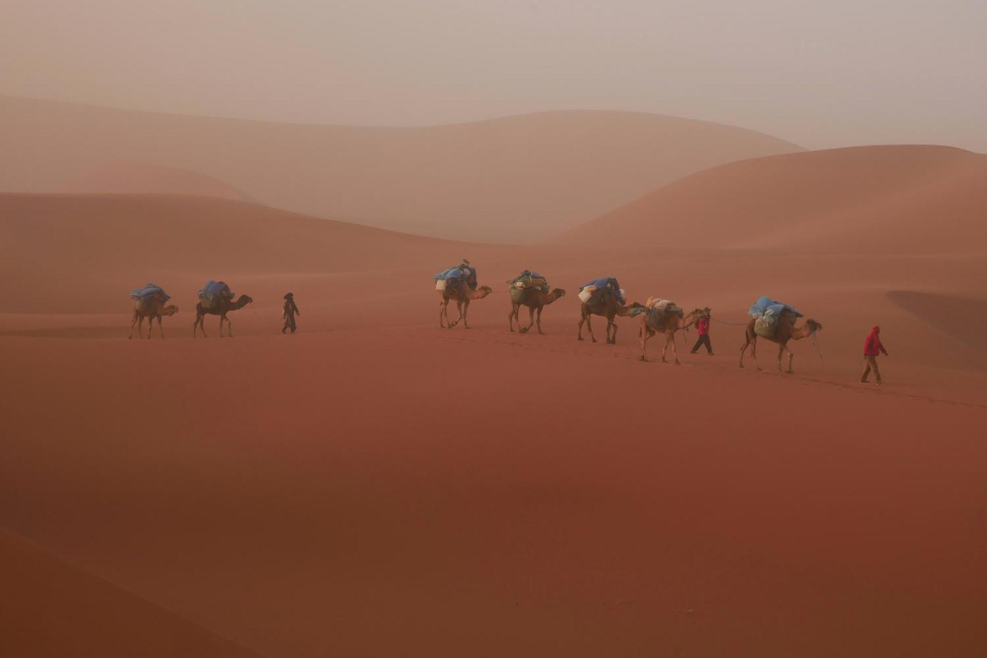 Jardin Du Desert M'Hamid Luaran gambar