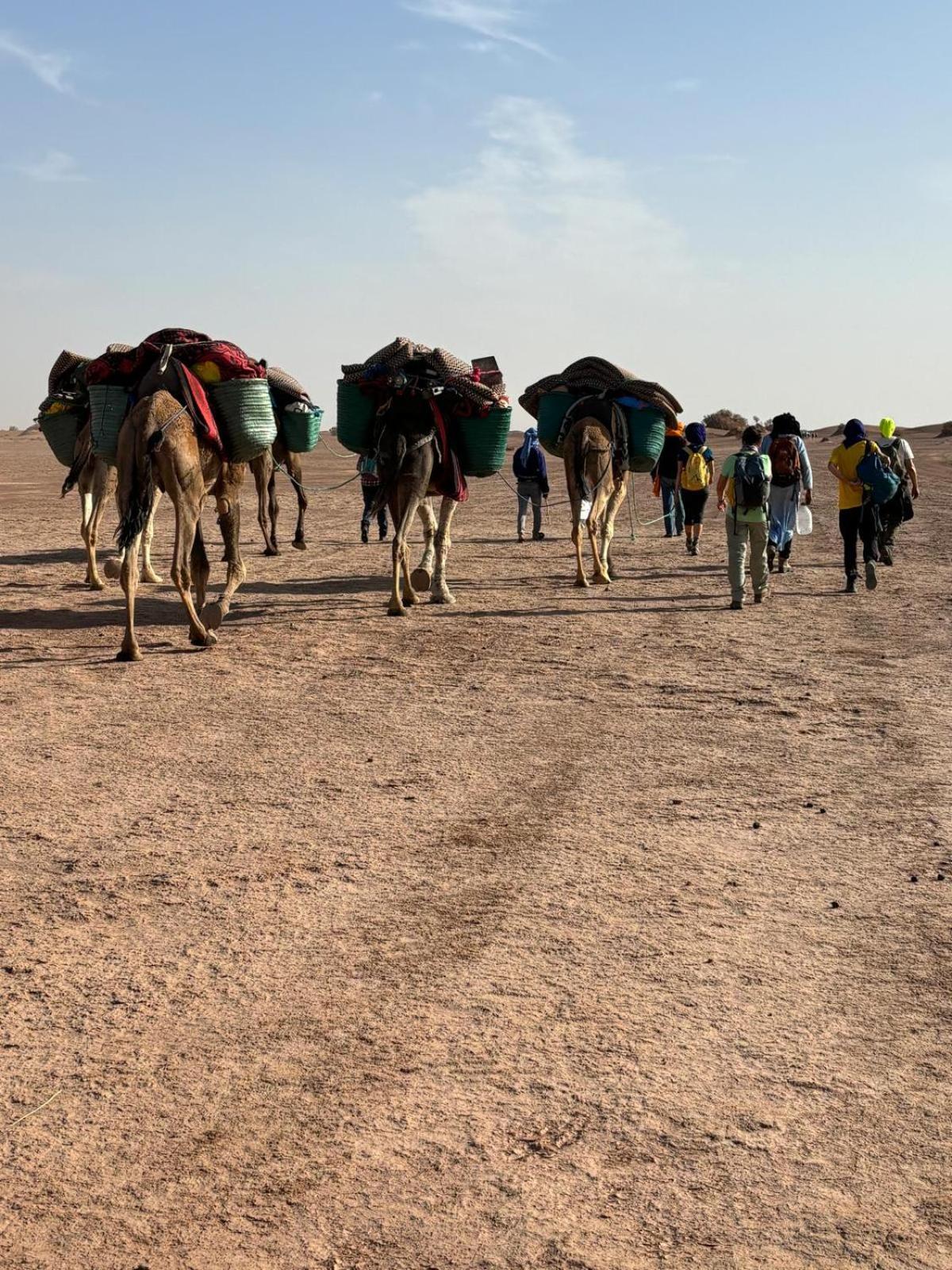 Jardin Du Desert M'Hamid Luaran gambar