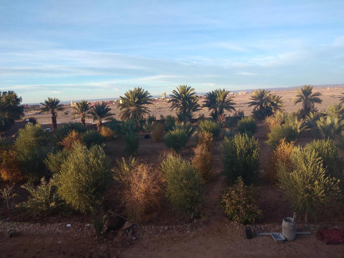 Jardin Du Desert M'Hamid Luaran gambar